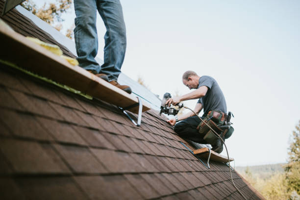 Quick and Trustworthy Emergency Roof Repair Services in Maywood, IL